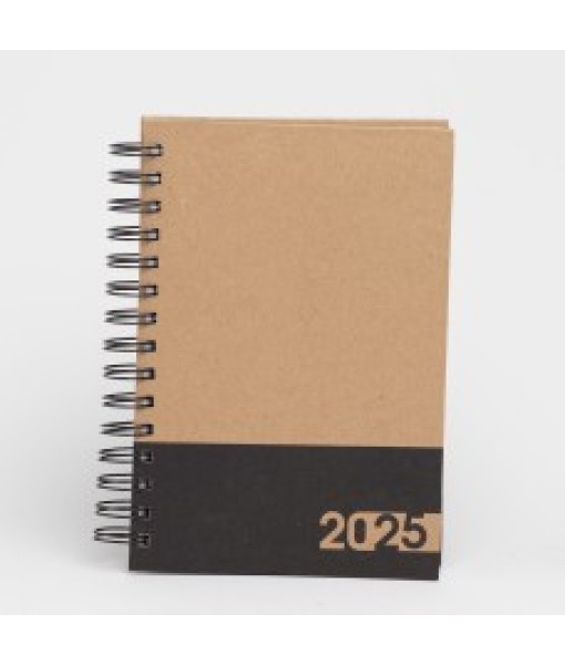 Agenda Diária 2025